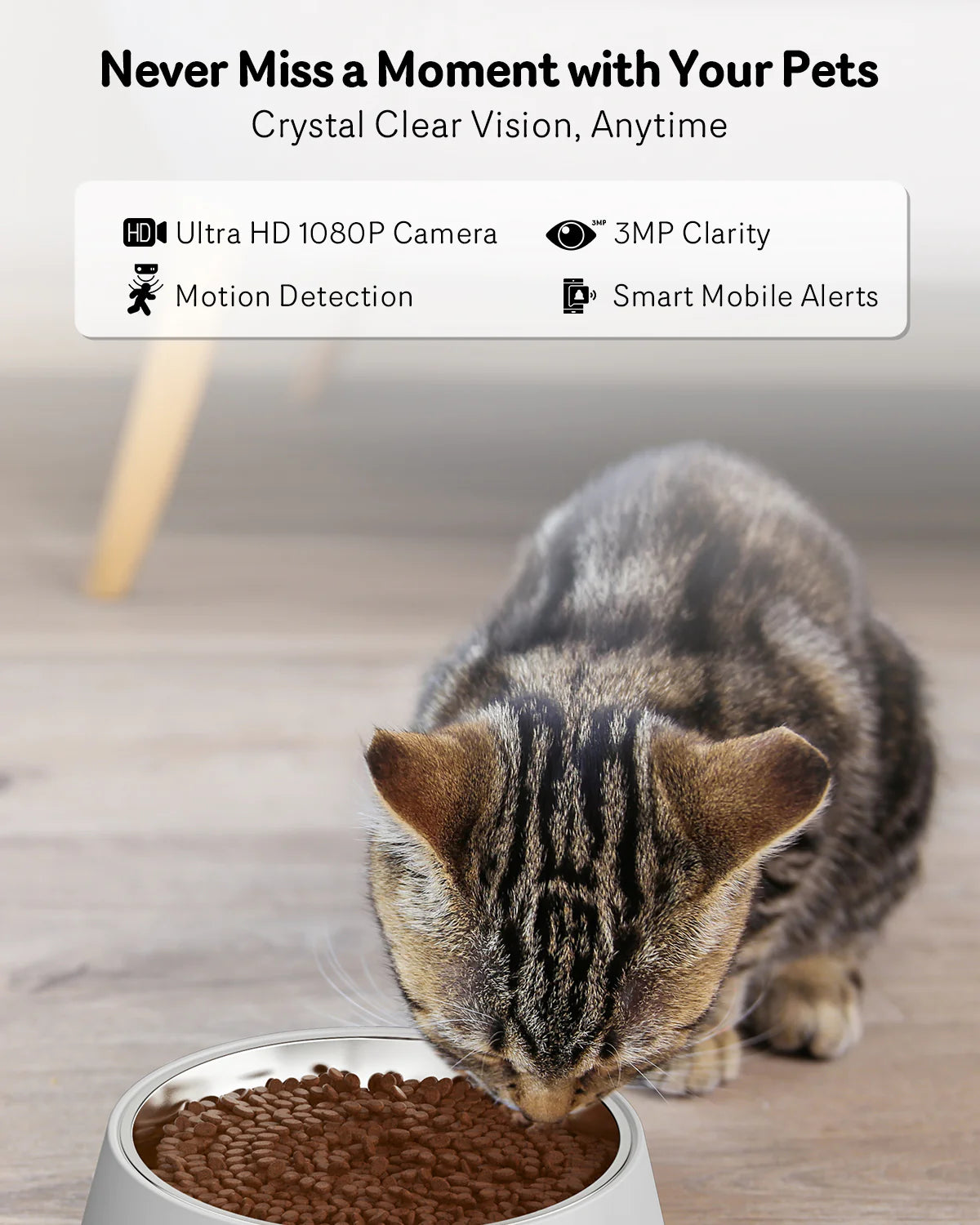 FeedView™ Automatische Kattenvoerautomaat met Camera